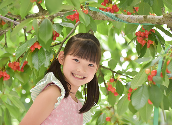 小学校低学年～小学校中学年